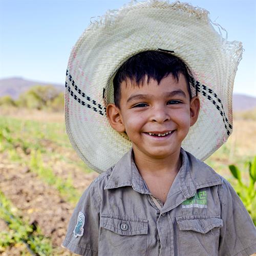 a young boy stands in a field