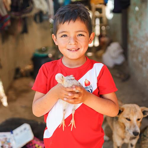 a boy holds up a baby chick