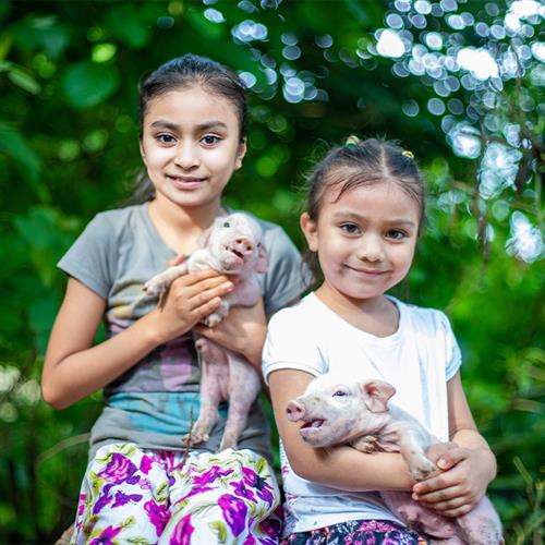 Girls hold piglets and look into the camera