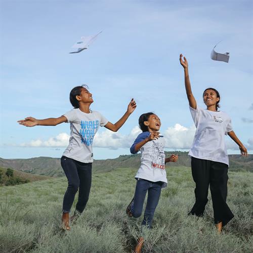 Three older children play and laugh in a grassy field on a sunny day. They toss their letters in the breeze.