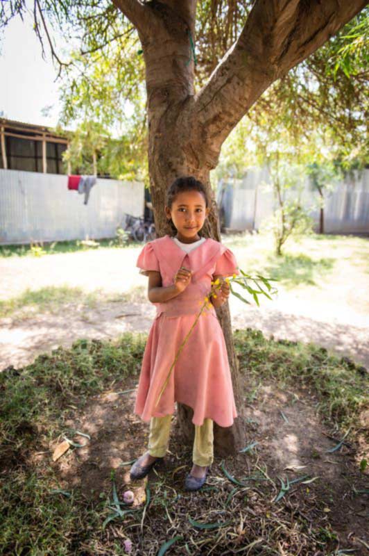 A girl wearing a pink dress standing in front of a shade tree