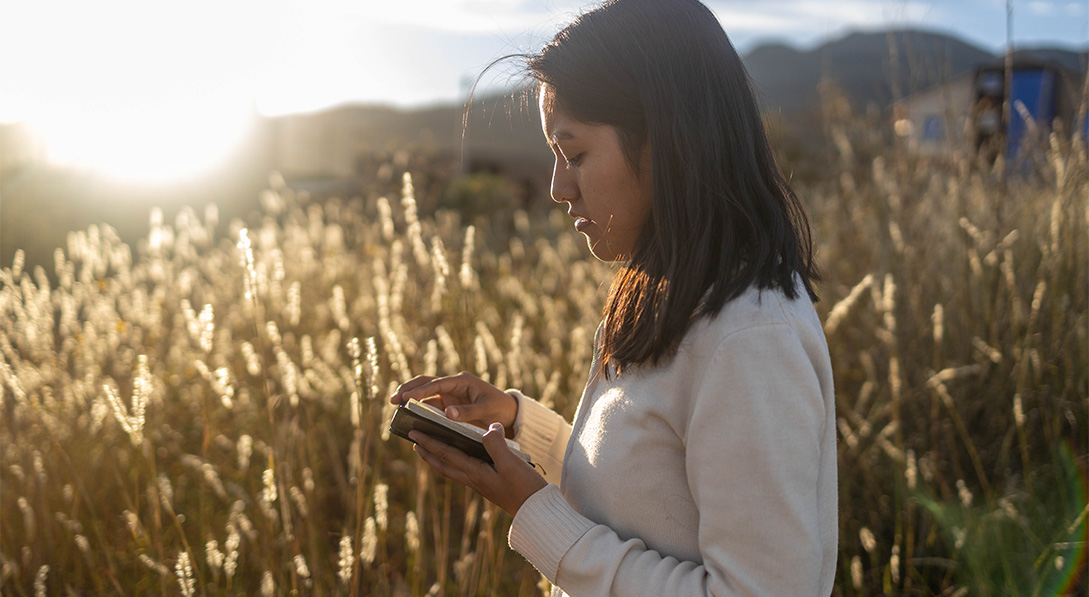 Young girl stands in a wheat field while holding a Bible. The sun shines down on her from the upper left corner.