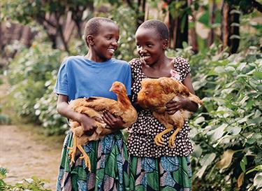 Give a chicken to a family in poverty