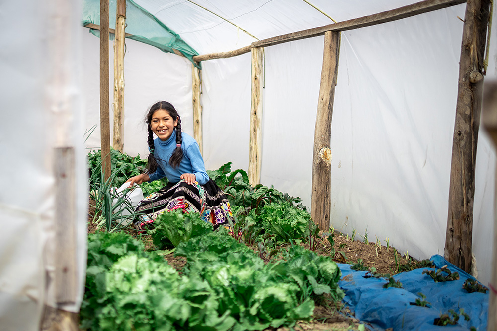 girl harvesting vegetables in a greenhouse