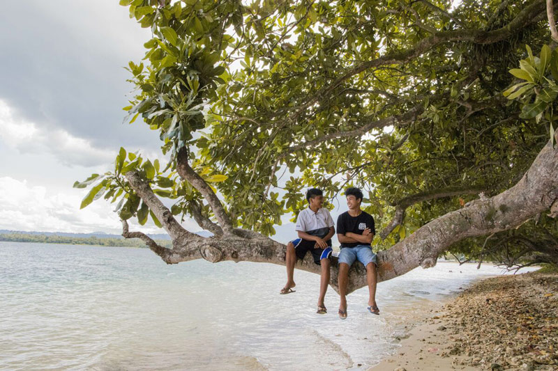 Two young men sit smiling on a tree limb over water