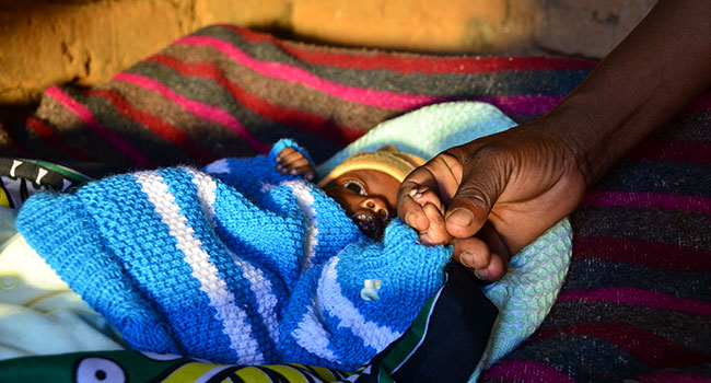 Preterm baby holding adult finger