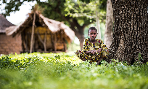 A young boy wearing a patterned shirt sits beside a tree and looks at the camera.